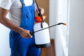 Best Pest Exclusion Services  in Avenue B And C, AZ